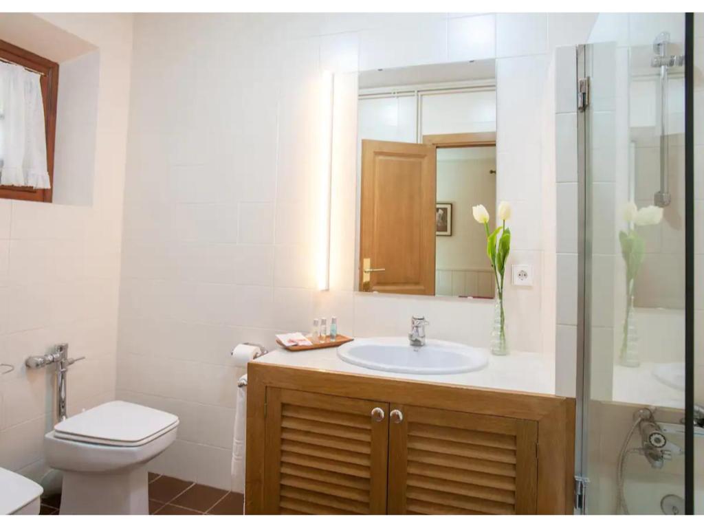 Gran Castanyer Guest House Viladrau Ngoại thất bức ảnh